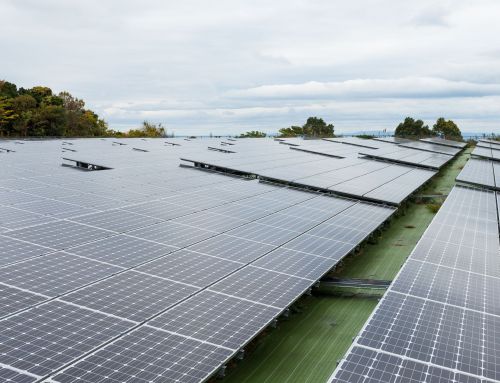 Navigating the Renewable Energy Landscape in Rhode Island: A Guide for Nonprofits and Businesses 